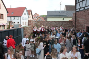 IMG 3361
