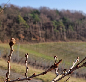 WhatsApp Image 2026-03-05 at 21.05.21