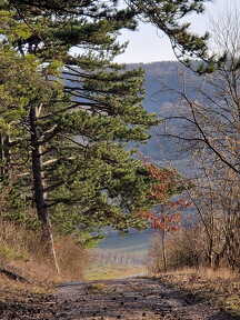 WhatsApp Image 2026-03-05 at 21.05.34