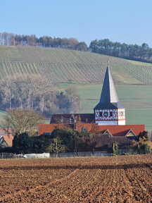 WhatsApp Image 2026-03-12 at 09.00.09 (2)