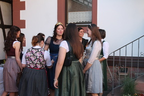 IMG 4334